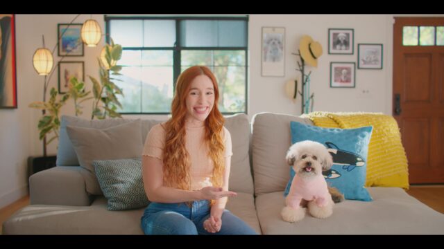 Video Ads
